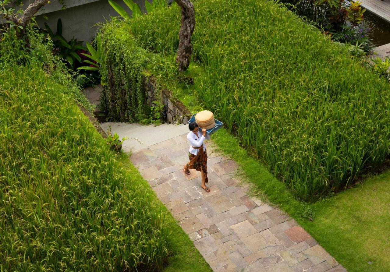아디와나 수웨타 - Chse 인증 호텔 우붓 외부 사진 A farmer in Bali